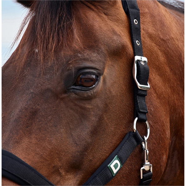 2026 Dublin Neo Comfort Headcollar 1031035 - Black